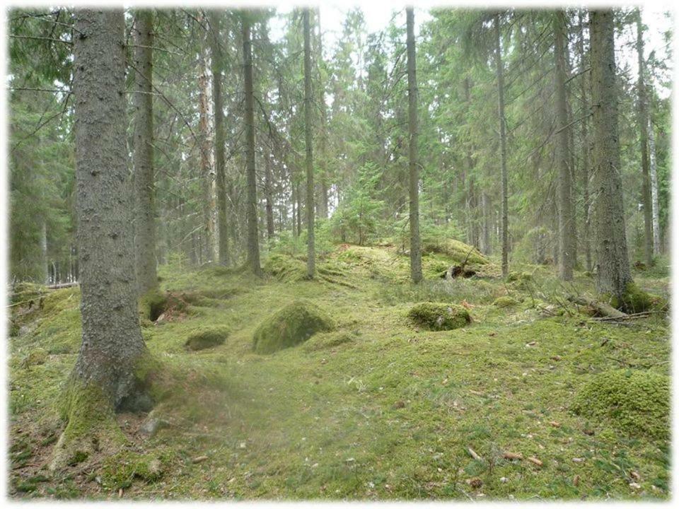 Sandvik Gard Spa & Konferens Åby Dış mekan fotoğraf